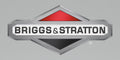 Briggs & Stratton OEM 596207  Tank-Fuel